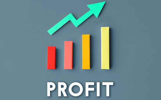 how to calculate profit margin